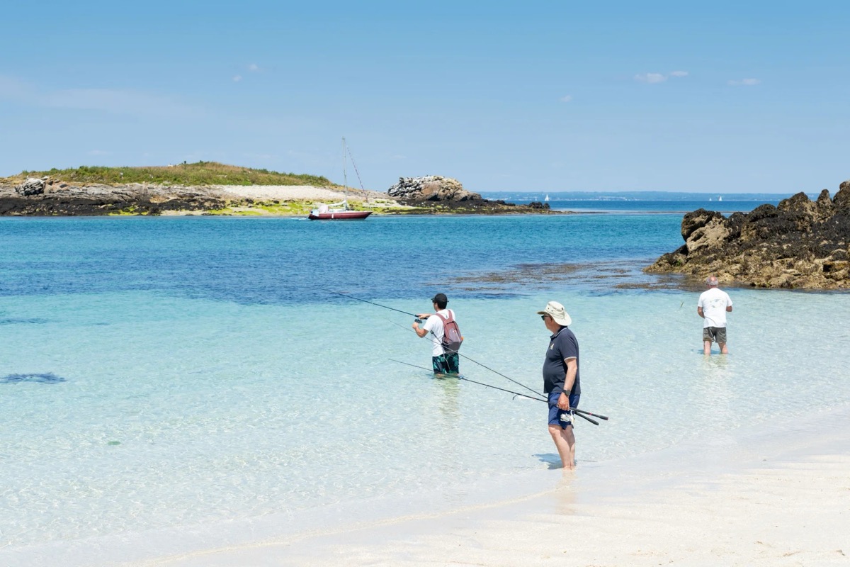 Plage et végétation de l'île Saint-Nicolas Glénan en été