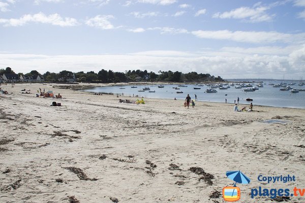 Belle Étoile Concarneau, vue sur la baie et spot de surf en été