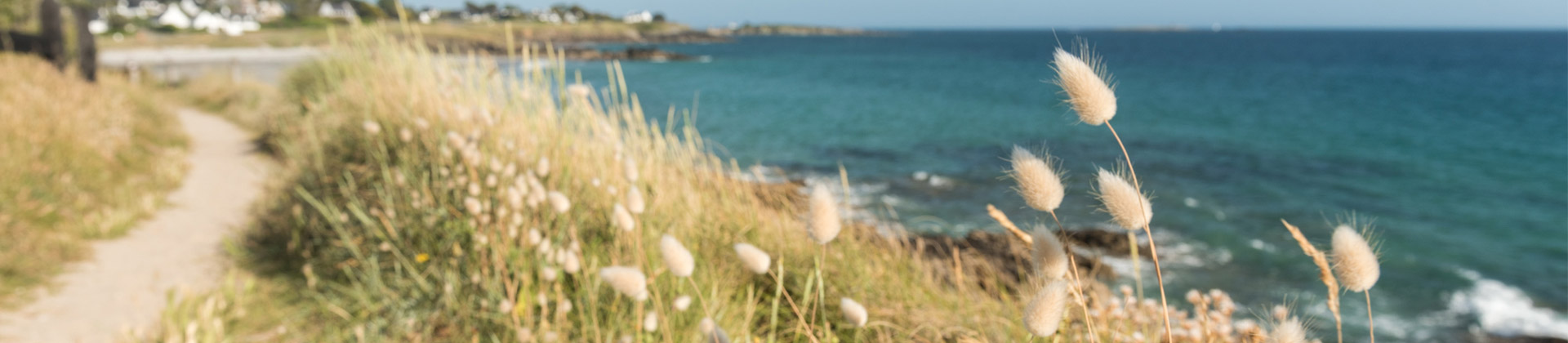 Presqu'île du Cabellou Concarneau, sentier côtier entre pins et rochers