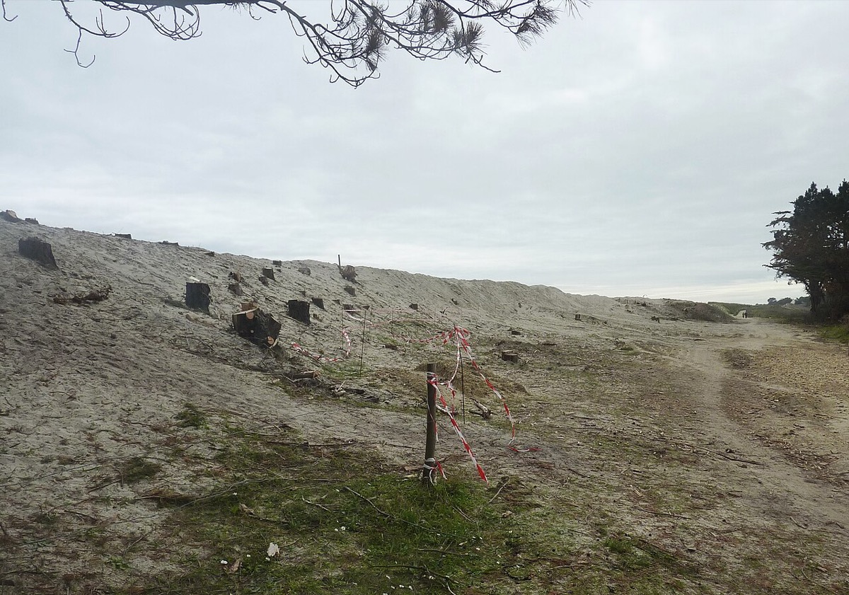 Dunes du Treustel à Combrit, accès plage avec ganivelles